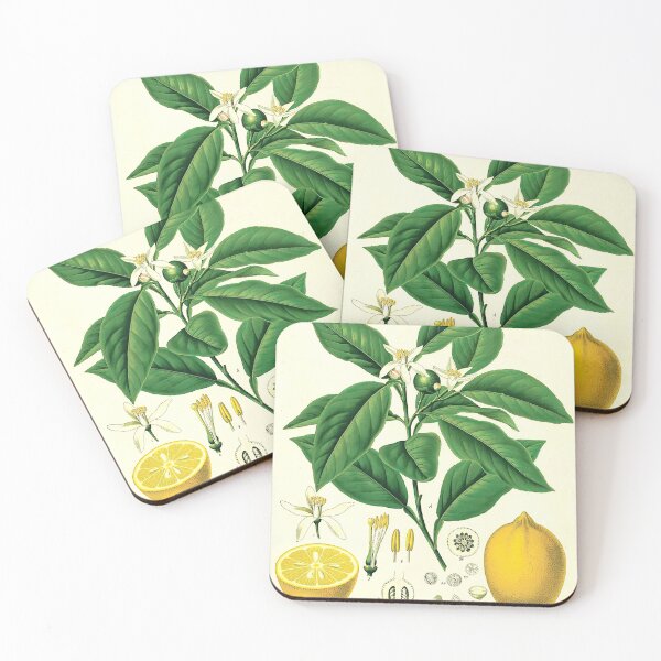 Item preview, Lemon Life Cycle Poster designed and sold by NatureLand.