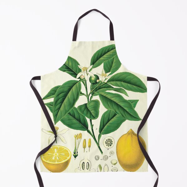 Item preview, Lemon Life Cycle Poster designed and sold by NatureLand.