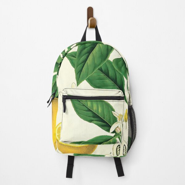 Item preview, Lemon Life Cycle Poster designed and sold by NatureLand.
