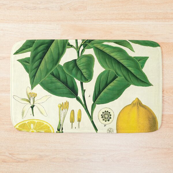 Item preview, Lemon Life Cycle Poster designed and sold by NatureLand.