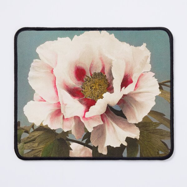 Item preview, Retro Japanese Flower Tree peony (1896) by Ogawa Kazumasa designed and sold by Designedbysm.