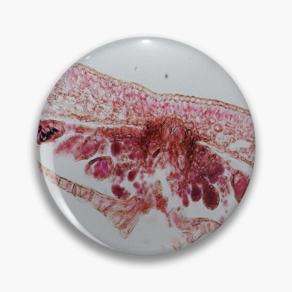 Item preview, Fern Leaf  designed and sold by CellsOfWorld.