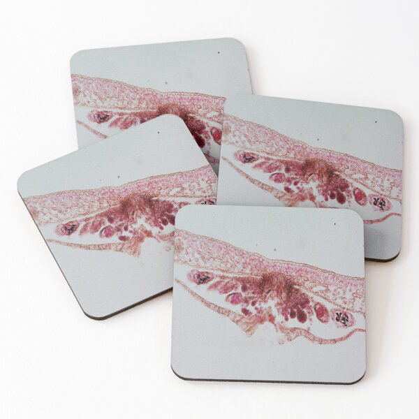 Item preview, Fern Leaf  designed and sold by CellsOfWorld.