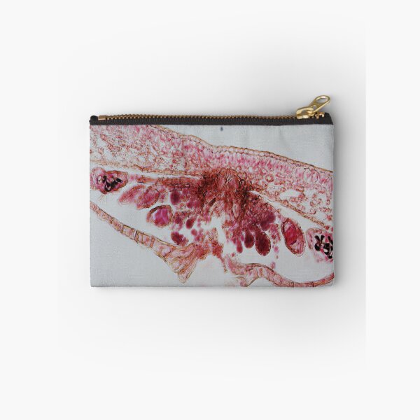 Item preview, Fern Leaf  designed and sold by CellsOfWorld.