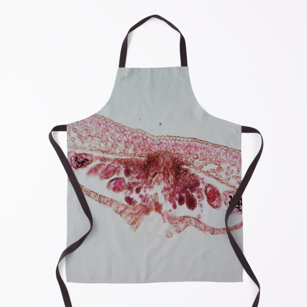 Item preview, Fern Leaf  designed and sold by CellsOfWorld.