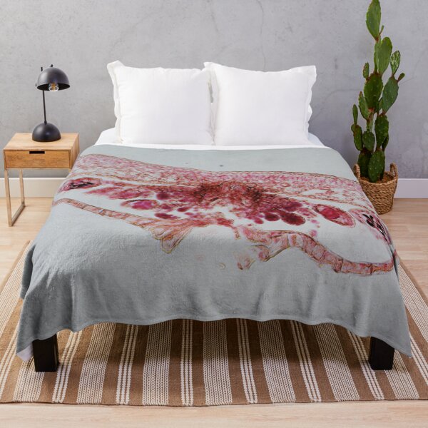 Item preview, Fern Leaf  designed and sold by CellsOfWorld.