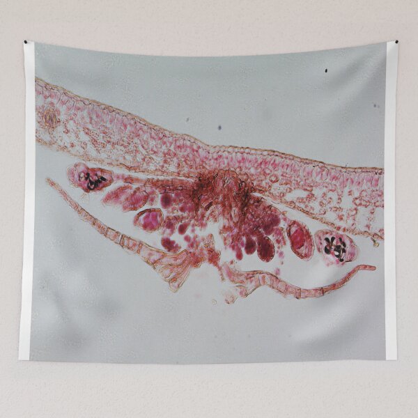 Item preview, Fern Leaf  designed and sold by CellsOfWorld.