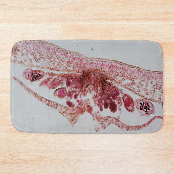 Item preview, Fern Leaf  designed and sold by CellsOfWorld.