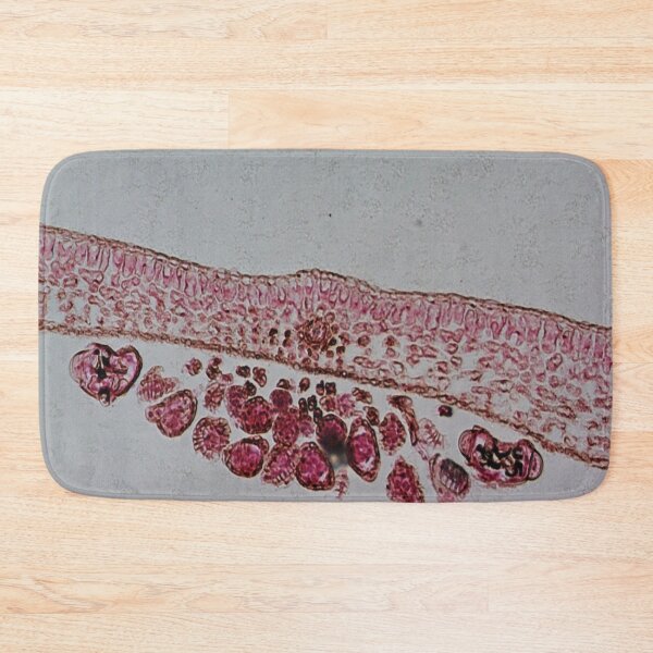 Item preview, Fern Leaf  designed and sold by CellsOfWorld.