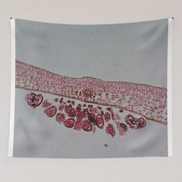Item preview, Fern Leaf  designed and sold by CellsOfWorld.