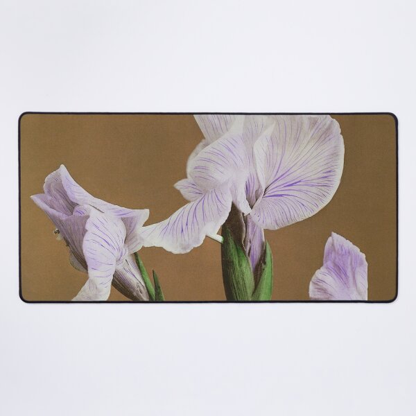 Item preview, Retro Japanese Flower Iris (1896) by Kazumasa Ogawa designed and sold by Designedbysm.