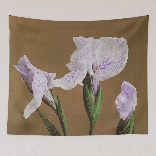 Item preview, Retro Japanese Flower Iris (1896) by Kazumasa Ogawa designed and sold by Designedbysm.