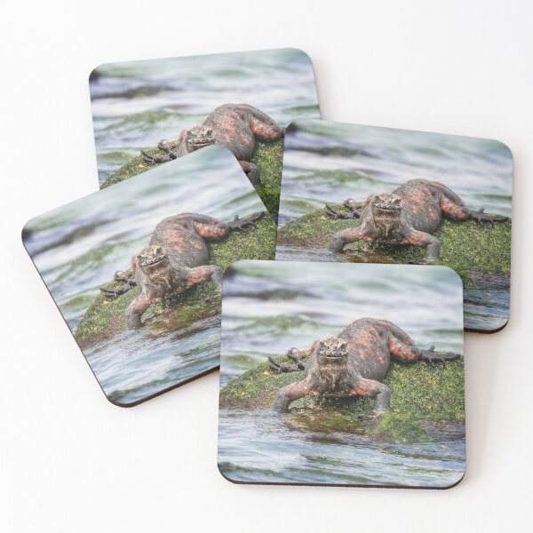 Item preview, Marine Iguana Galapagos Islands designed and sold by PhotoArt by Joan Carroll.
