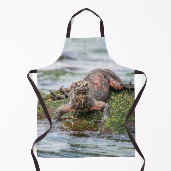 Item preview, Marine Iguana Galapagos Islands designed and sold by PhotoArt by Joan Carroll.