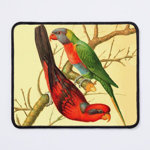 Item preview, TROPICAL BIRDS, PARROTS,Colorful Lorries designed and sold by BulganLumini.