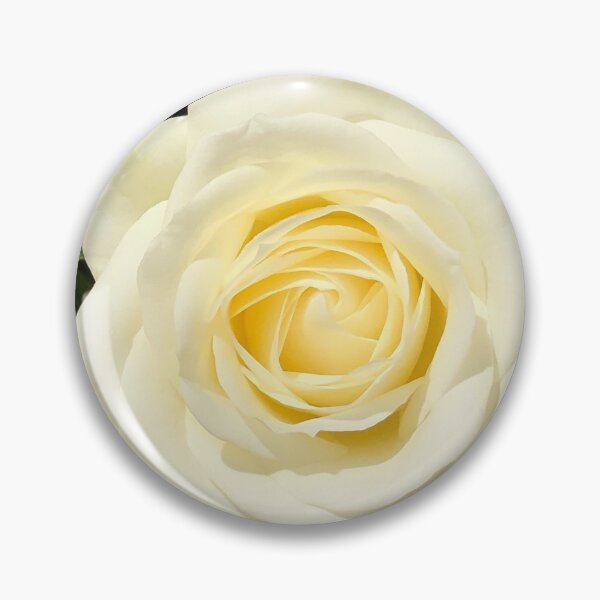 Artikelvorschau, Eine Rose mit einem anderen Namen entworfen und verkauft von KMHPhotography.