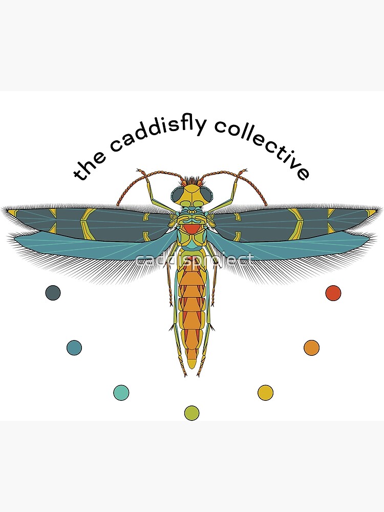 "Caddisfly Collective logo" Poster for Sale by caddisproject Redbubble