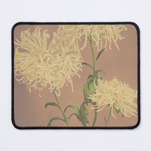 Item preview, Retro Japanese Flower Three Yellow Chrysanthemums (1887–1897) by Ogawa Kazumasa designed and sold by Designedbysm.