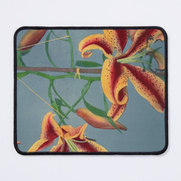 Item preview, Retro Japanese Flower Lily (1896) by Kazumasa Ogawa designed and sold by Designedbysm.
