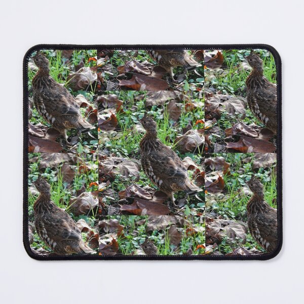Item preview, Native Ruffed Grouse designed and sold by chstudios.