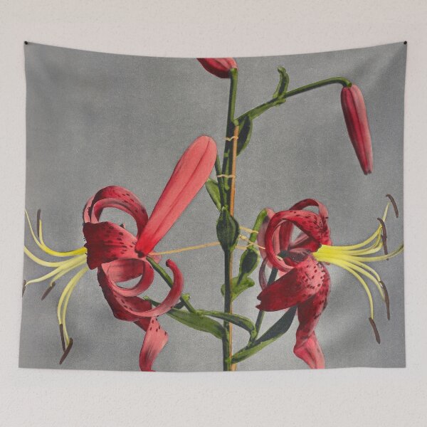 Item preview, Retro Japanese Flower Lily (1896) by Kazumasa Ogawa designed and sold by Designedbysm.