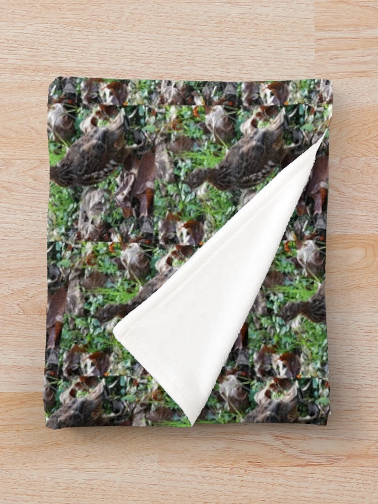 Thumbnail 3 of 6, Throw Blanket, Native Ruffed Grouse designed and sold by chstudios.
