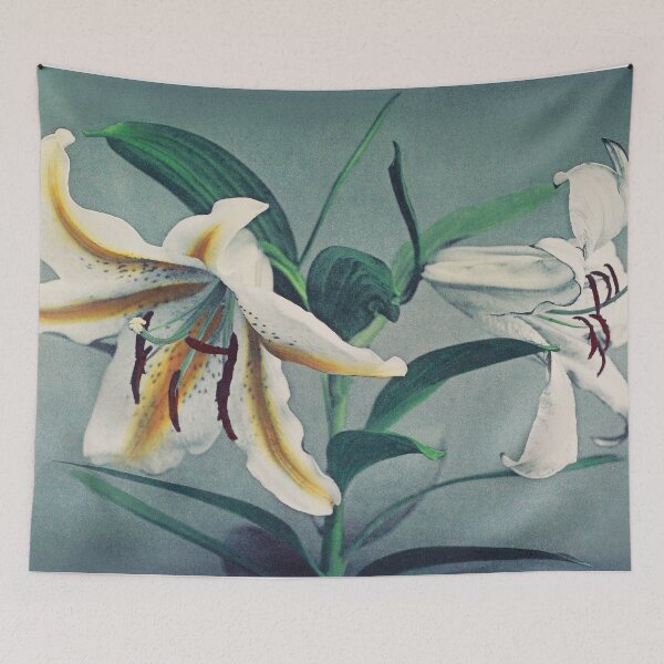 Item preview, Retro Japanese Flower Lily (1896) by Kazumasa Ogawa designed and sold by Designedbysm.