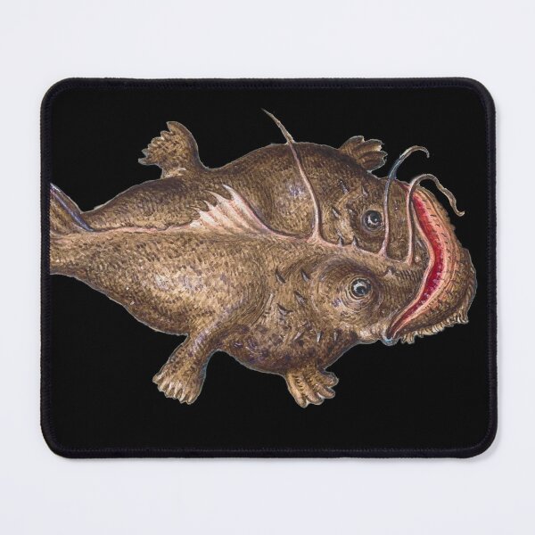 Item preview, Vegan Meme with Medieval Fish - Joris Hoefnagel designed and sold by MemesOfHistory.
