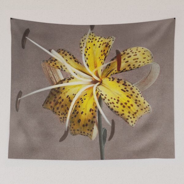 Item preview, Retro Japanese Flower Lily (1896) by Kazumasa Ogawa designed and sold by Designedbysm.