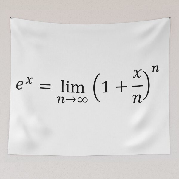 Item preview, exponential definition using limits, calculus and math designed and sold by NoetherSym.