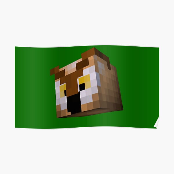 Minecraft Skin Posters for Sale | Redbubble