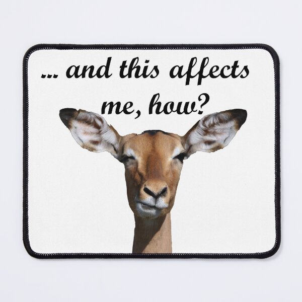 Item preview, indifferent arrogant goat designed and sold by BlueHut.
