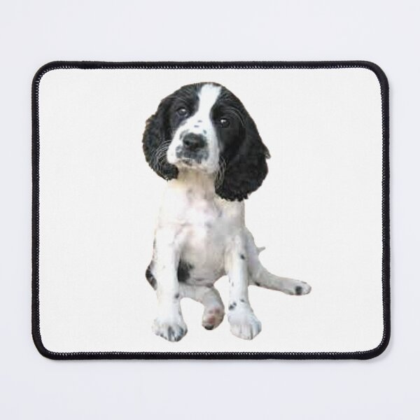 Item preview, Sprocker Spaniel designed and sold by ChaosReigns91.