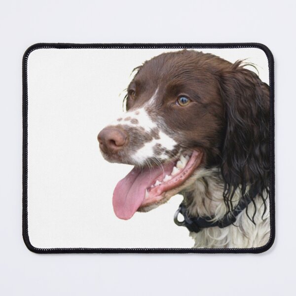 Item preview, Sprocker Spaniel designed and sold by ChaosReigns91.