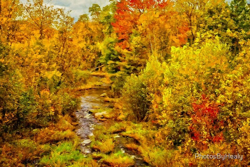 Autumn on the Ammonoosuc by Photos by Healy