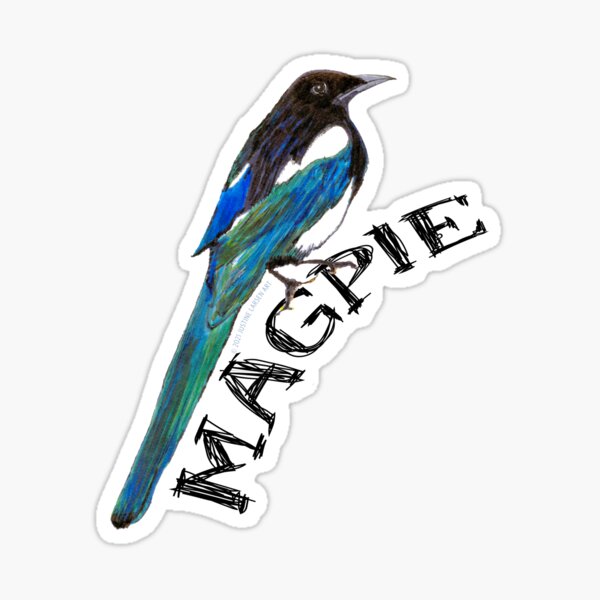 Magpie Sticker