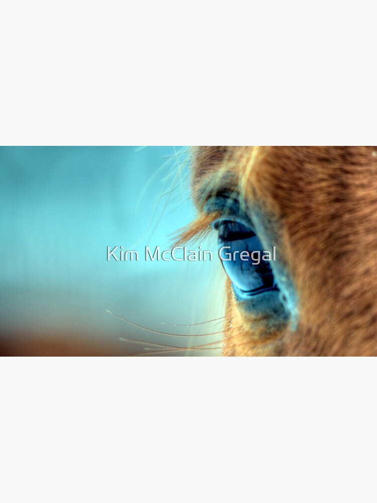 Horse Eye by fotokmcc