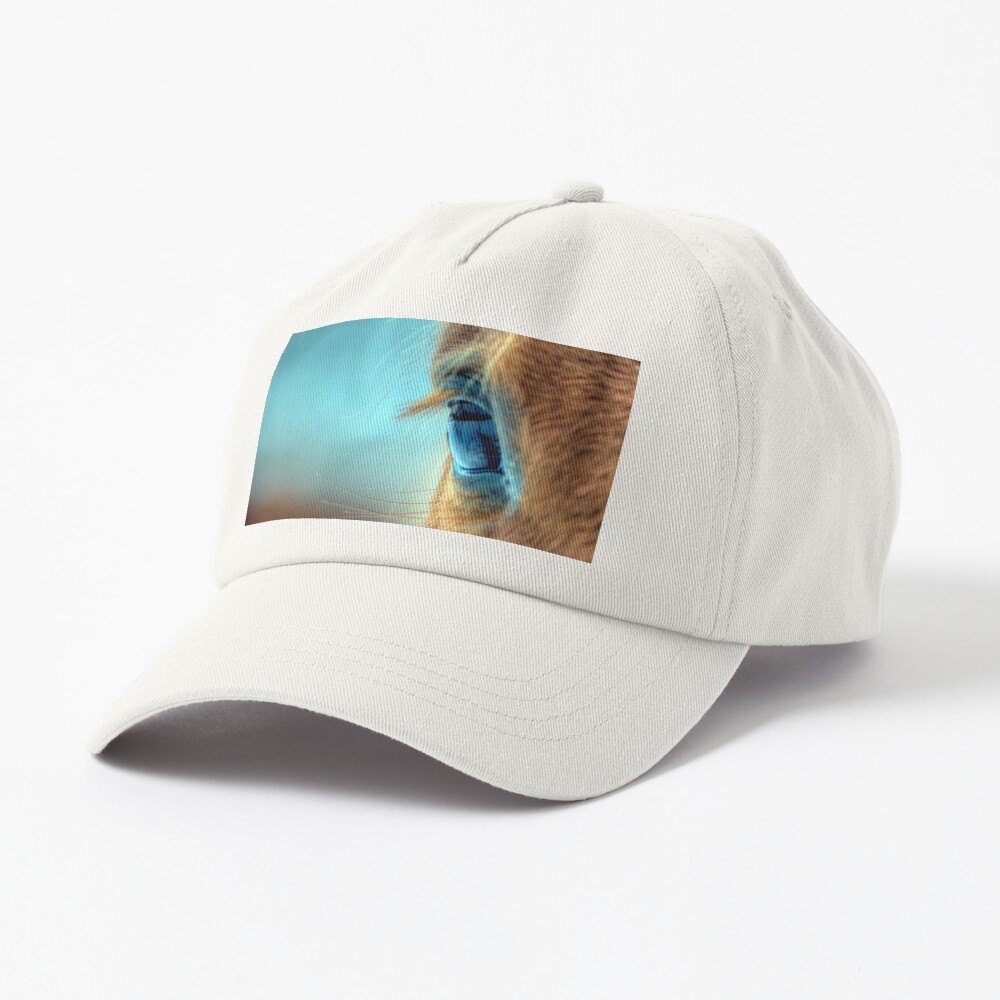 Horse Eye Cap