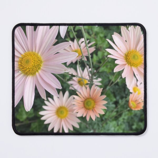 Item preview, Daisies designed and sold by Amanda1775.
