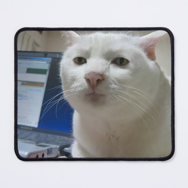 Item preview, Serious Cat Meme designed and sold by Meme Economy.
