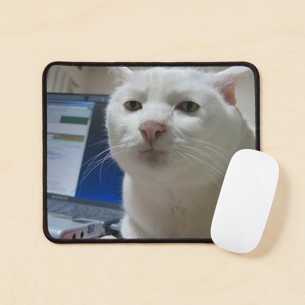 "Serious Cat Meme" Mouse Pad for Sale by FlashmanBiscuit Redbubble