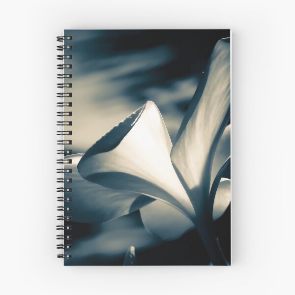 Item preview, Colorless Beauty designed and sold by GenaHerro.
