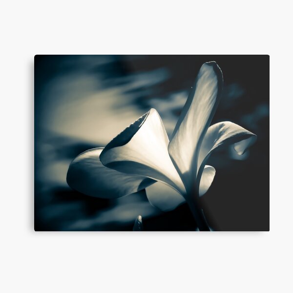 Item preview, Colorless Beauty designed and sold by GenaHerro.