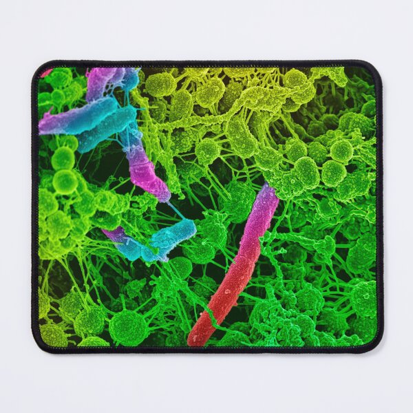 Item preview, COLORED STREP BACTERIA MICROSCOPIC VIEW PHOTO IMAGE MEDICAL LABORATORY SCIENTIST designed and sold by Hippiesole.