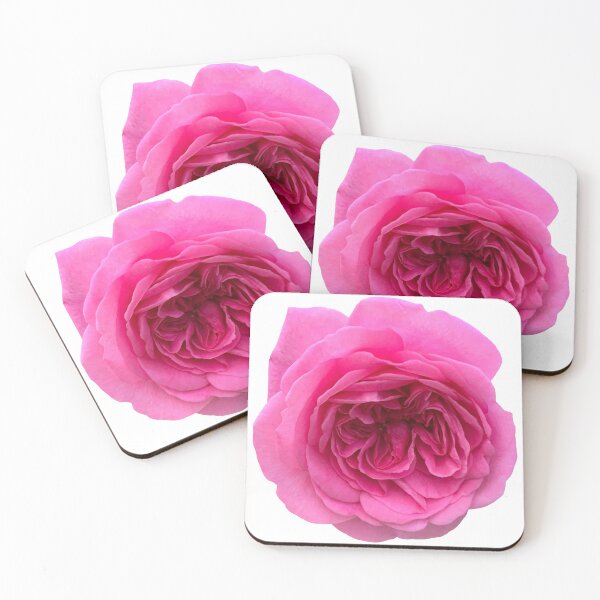 Item preview, Pink Rose Flower Still Life Floral Photography designed and sold by CottoVerdi.