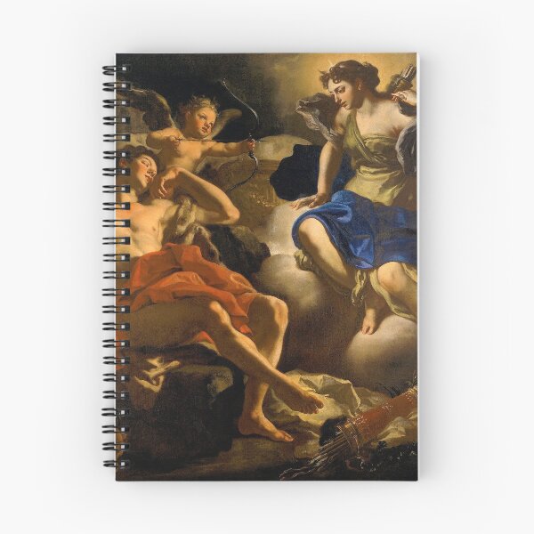 Item preview, Diana and Endymion by Francesco Solimena (c1710) designed and sold by allhistory.