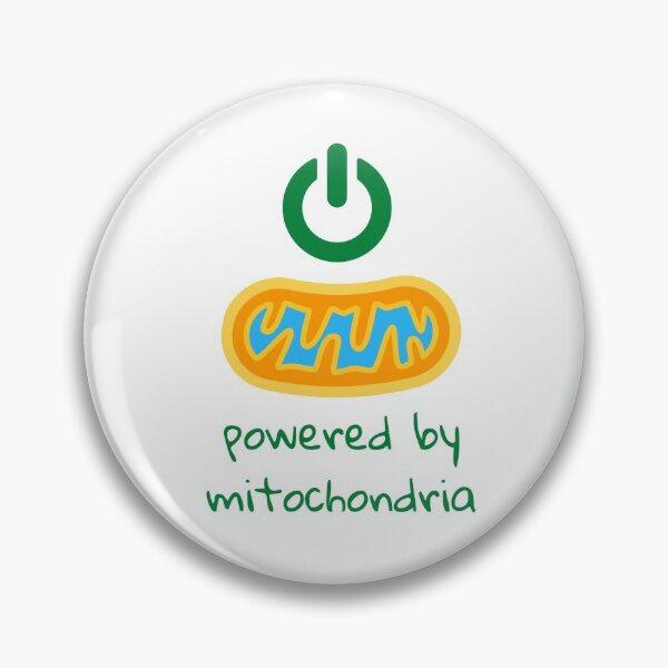 Item preview, powered by mitochondria designed and sold by Nabello.