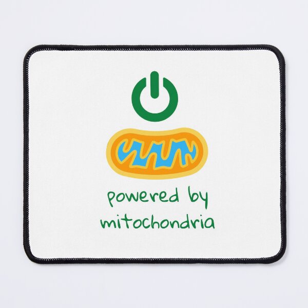 Item preview, powered by mitochondria designed and sold by Nabello.