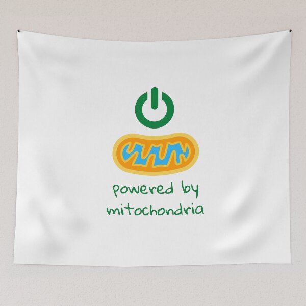 Item preview, powered by mitochondria designed and sold by Nabello.