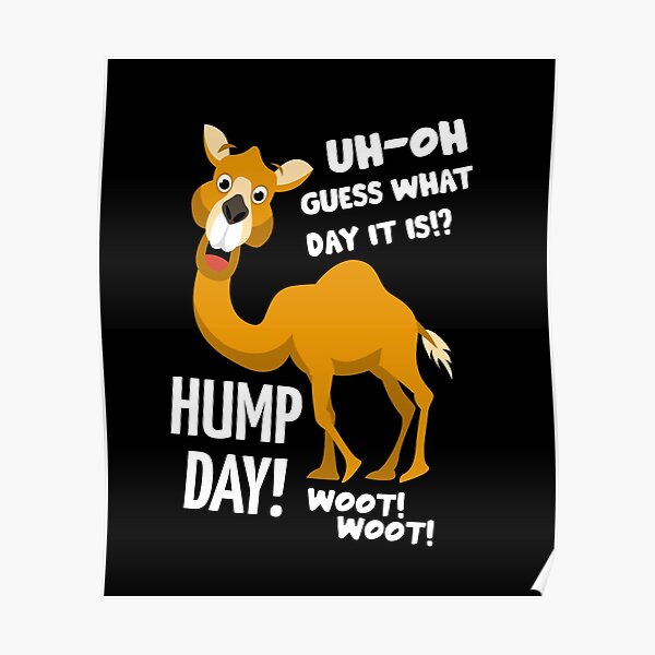 Funny Hump Day Camel Poster By Hotfromoven Redbubble 2354